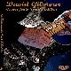 David Gilmour Crown Jools Special Edition